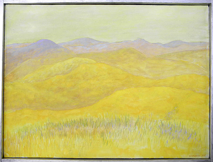 36 Yellow Hills of Summer