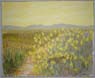 03 Yellow Sky, Wild Mu0003