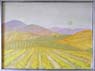41 Vineyard-View