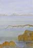 49 Seascape-with-Branch
