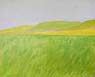 51 Spring-Landscape